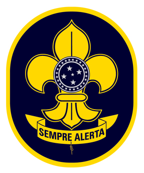 SAIBA O PASSO-A-PASSO PARA SER UM ESCOTEIRO LIS DE OURO