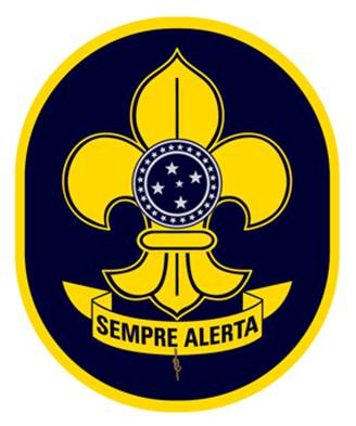 Esclarecimentos “Processo de Distintivo Especial – Lis de Ouro”