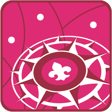 Pesquisa para os jovens e escotistas do Ramo Sênior