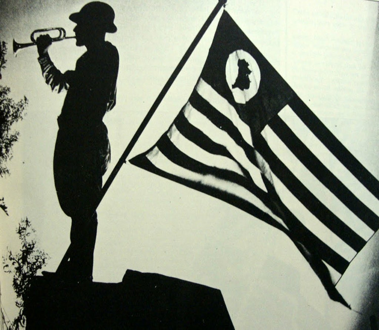 Boletim Informativo Desfile e Eu Cuido do Parque Ibirapuera! 09 de julho de 2015