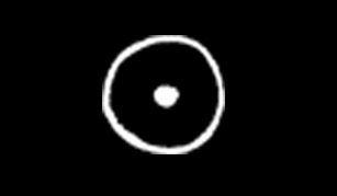 Nota de Falecimento: Lila Kelly Nicézio