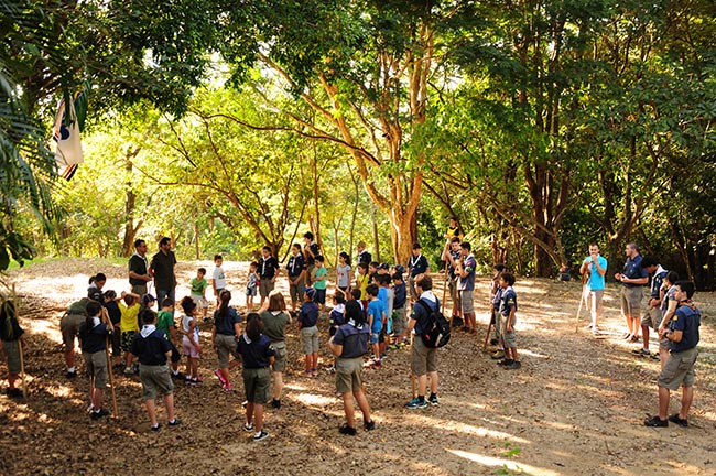 G.E. Excalibur revitalizará o Parque Chico Mendes