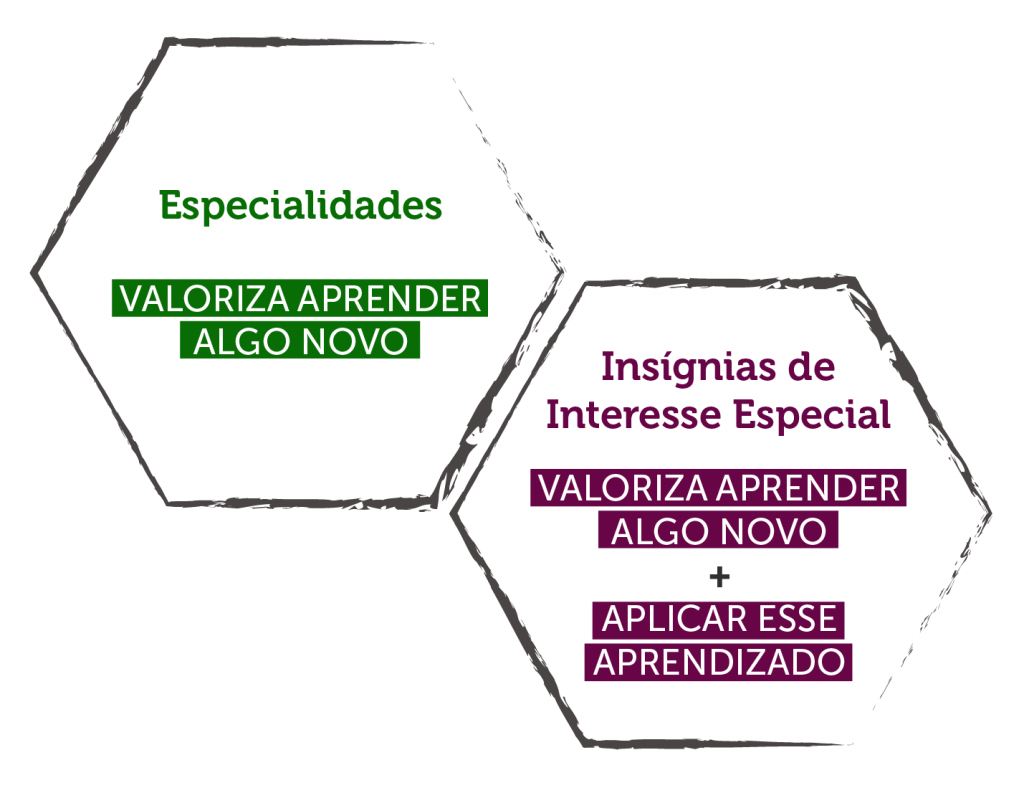 Imagem com fundo branco e dois contornos em cinza de hexágono, o que está do lado esquerdo da imagem está para cima e dentro o texto em verde: especialidades, valoriza aprender algo novo. O hexágono do lado direito está mais abaixo e dentro o texto em grená: insígnias de interesse especial valoriza aprender algo novo + aplicar esse aprendizado.