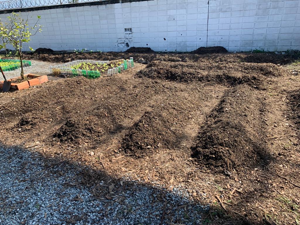 Pioneiro de São Vicente planta horta em lar de idosos