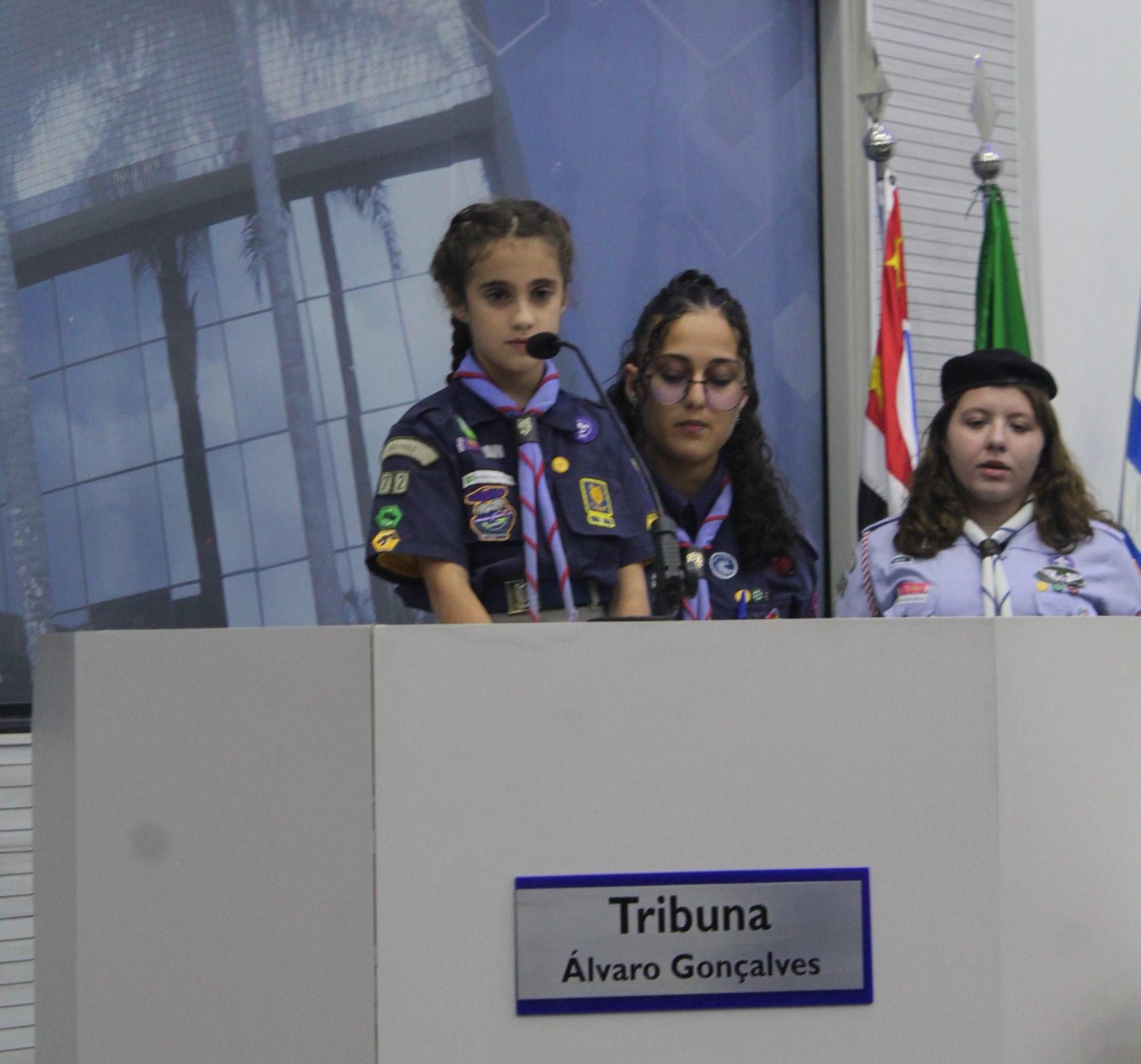 Sessão Solene homenageia escoteiros em São José dos Campos