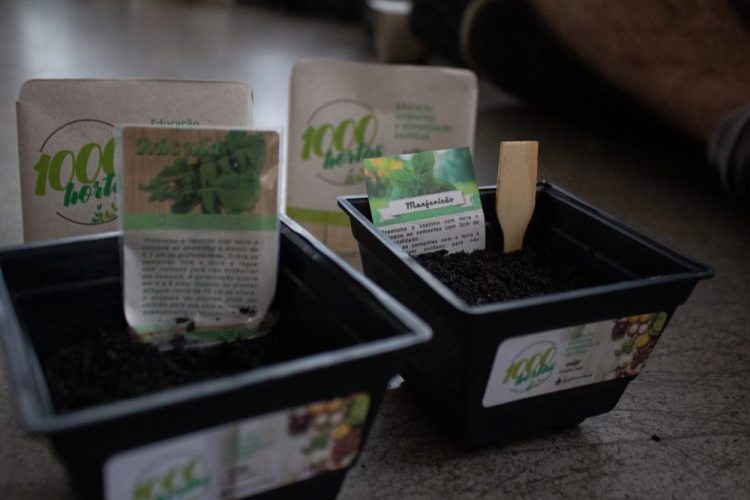 IMG_8498-scaled-1000x667